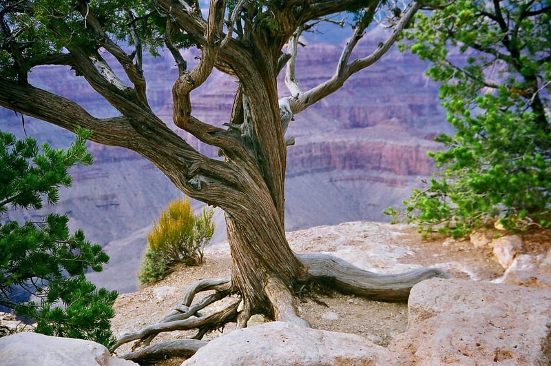 Grand Canyon National Park